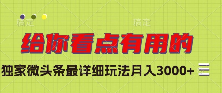 独家微头条最详细玩法，月入3000+【揭秘】-86资源库