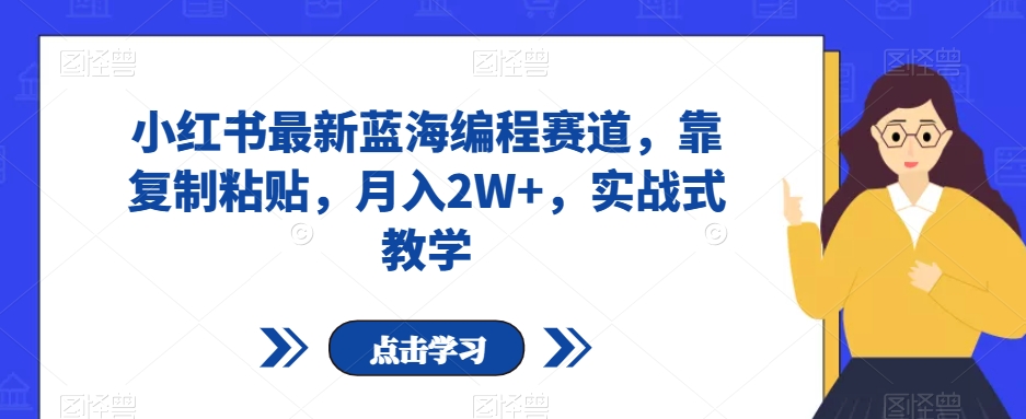 小红书最新蓝海编程赛道，靠复制粘贴，月入2W+，实战式教学【揭秘】-86资源库