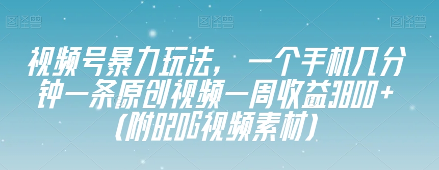 视频号暴力玩法，一个手机几分钟一条原创视频一周收益3800+（附820G视频素材）-86资源库