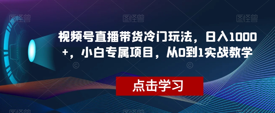 视频号直播带货冷门玩法，日入1000+，小白专属项目，从0到1实战教学【揭秘】-86资源库