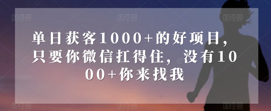 单日获客1000+的好项目，只要你微信扛得住，没有1000+你来找我【揭秘】-86资源库