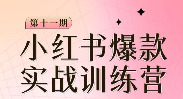小红书博主爆款训练营第11期，手把手教你从0-1做小红书，从定位到起号到变现-86资源库
