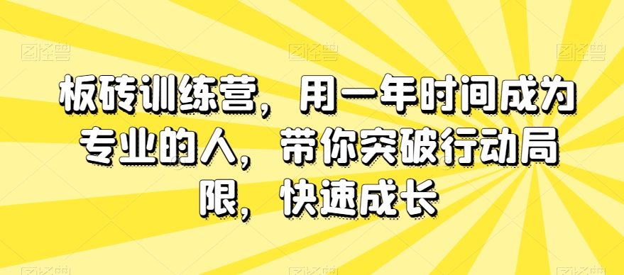 板砖训练营，用一年时间成为专业的人，带你突破行动局限，快速成长-86资源库
