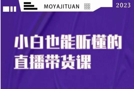 大威本威·能听懂的直播带货课，小白也能听懂，20节完整-86资源库