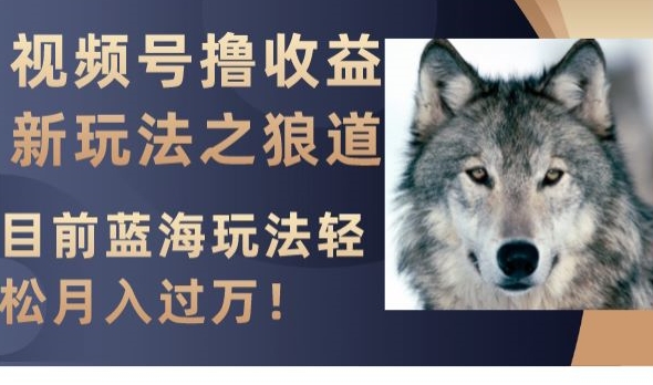 视频号撸收益新玩法之狼道，目前蓝海玩法，轻松月入过万【揭秘】-86资源库