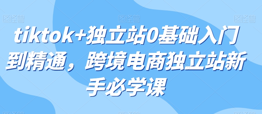 tiktok+独立站0基础入门到精通，跨境电商独立站新手必学课-86资源库