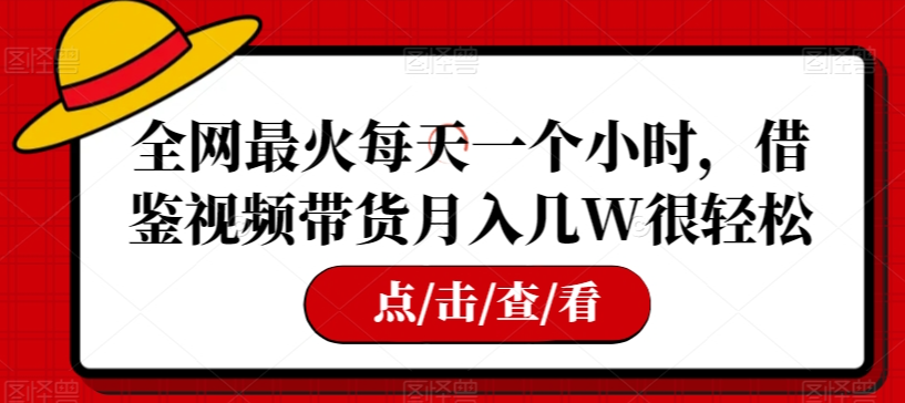 全网最火每天一个小时，借鉴视频带货月入几W很轻松【揭秘】-86资源库