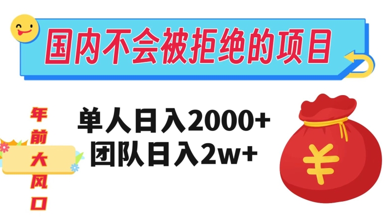 在国内不怕被拒绝的项目，单人日入2000，团队日入20000+【揭秘】-86资源库