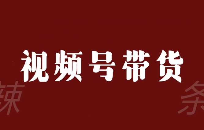 视频号带货联盟，赚信息差的带货钱，只需手机随时随地都可以做！-86资源库