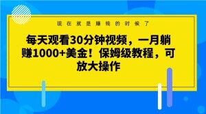 每天观看30分钟视频，一月躺赚1000+美金！保姆级教程，可放大操作【揭秘】-86资源库