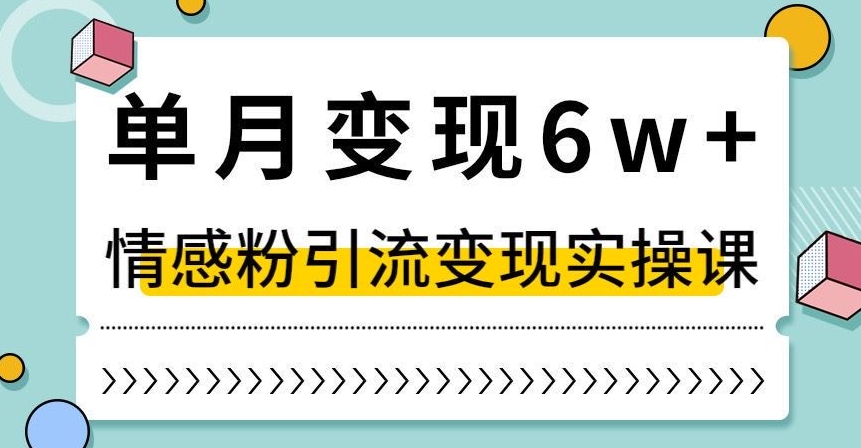 单月变现6W+，抖音情感粉引流变现实操课，小白可做，轻松上手，独家赛道【揭秘】-86资源库