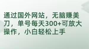 通过国外网站，无脑赚美刀，单号每天300+可放大操作，小白轻松上手【揭秘】-86资源库