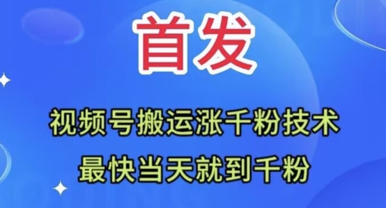 全网首发：视频号无脑搬运涨千粉技术，最快当天到千粉【揭秘】-86资源库