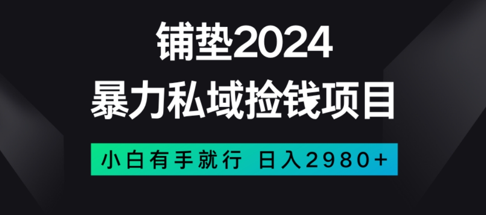 暴力私域捡钱项目，小白无脑操作，日入2980【揭秘】-86资源库