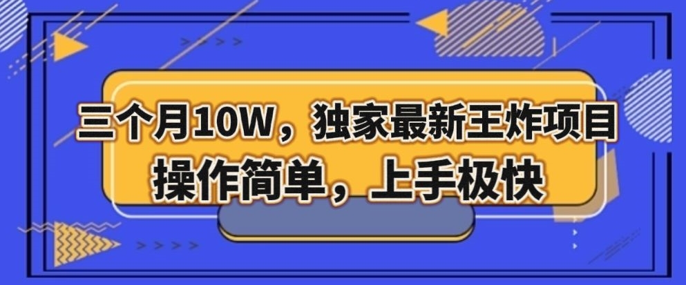 三个月10W，独家最新王炸项目！操作简单，上手极快【揭秘】-86资源库