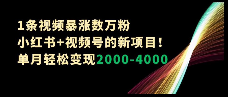 1条视频暴涨数万粉–小红书+视频号的新项目！单月轻松变现2000-4000【揭秘】-86资源库