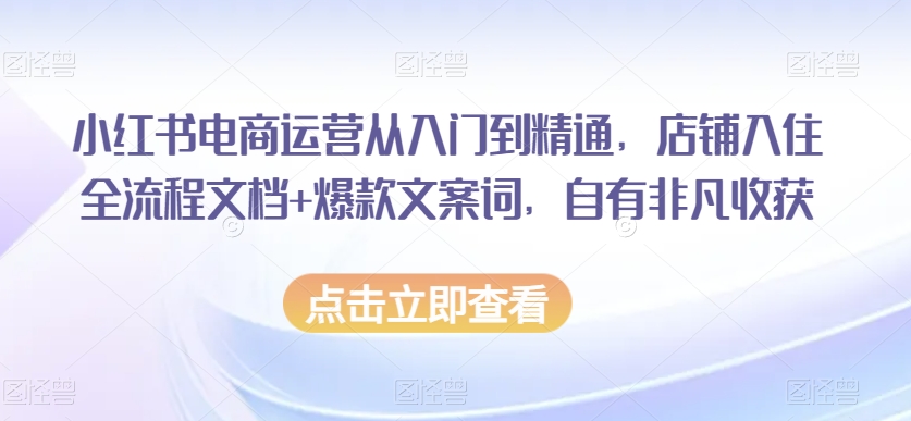 小红书电商运营从入门到精通，店铺入住全流程文档+爆款文案词，自有非凡收获-86资源库