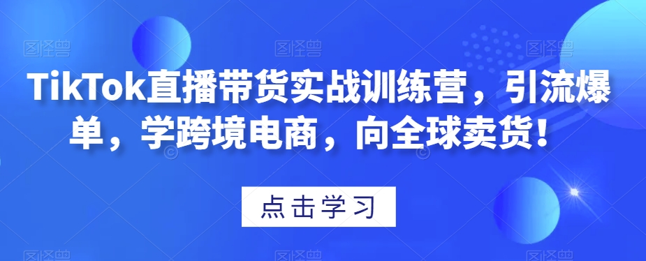 TikTok直播带货实战训练营，引流爆单，学跨境电商，向全球卖货！-86资源库