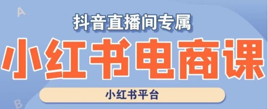 小红书电商高级运营课程，实操教学+案例分析-86资源库