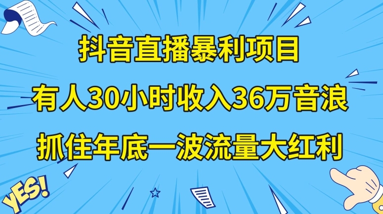 抖音直播暴利项目，有人30小时收入36万音浪，公司宣传片年会视频制作，抓住年底一波流量大红利【揭秘】-86资源库