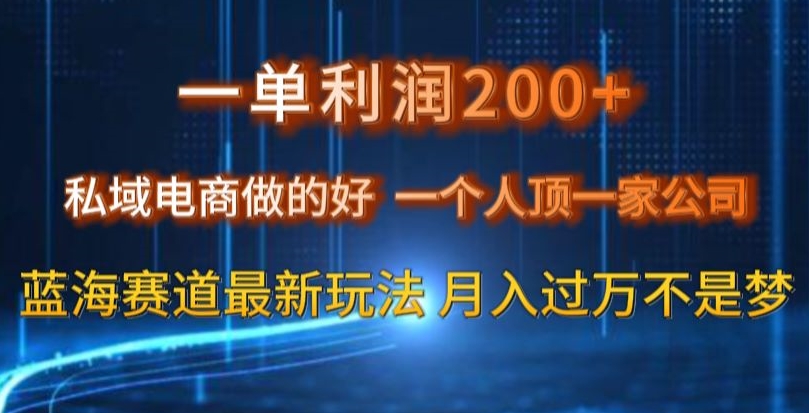 一单利润200私域电商做的好，一个人顶一家公司蓝海赛道最新玩法【揭秘】-86资源库