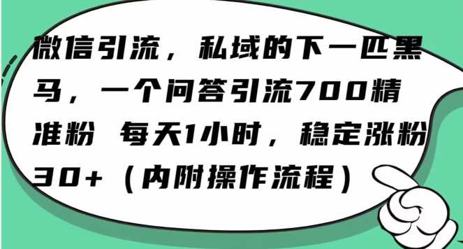 怎么搞精准创业粉？微信新赛道，每天一小时，利用Ai一个问答日引100精准粉-86资源库