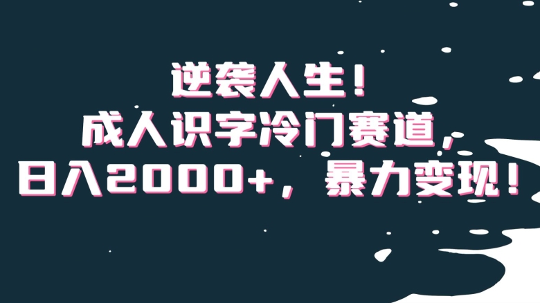 逆袭人生！成人识字冷门赛道，日入2000+，暴力变现！【揭秘】-86资源库