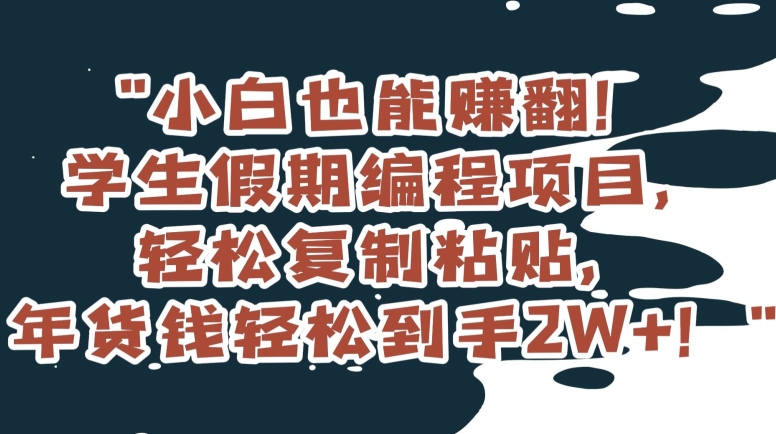 小白也能赚翻！学生假期编程项目，轻松复制粘贴，年货钱轻松到手2W+【揭秘】-86资源库