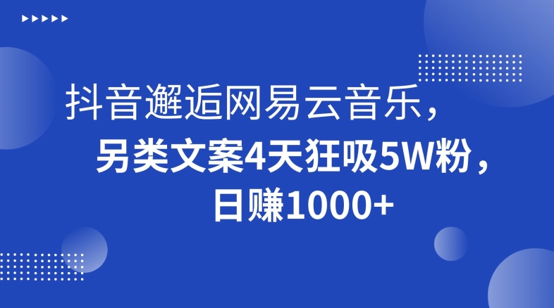 抖音邂逅网易云音乐，另类文案4天狂吸5W粉，日赚1000+【揭秘】-86资源库