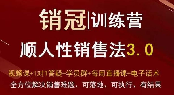 爆款！销冠训练营3.0之顺人性销售法，全方位解决销售难题、可落地、可执行、有结果-86资源库
