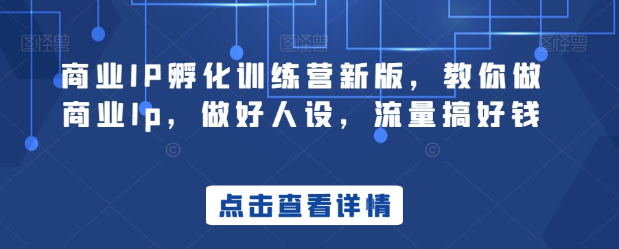 商业IP孵化训练营新版，教你做商业Ip，做好人设，流量搞好钱-86资源库