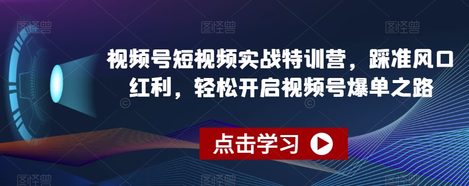 视频号短视频实战特训营，踩准风口红利，轻松开启视频号爆单之路-86资源库