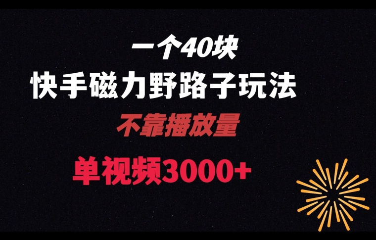 一个40块，快手联合美团磁力新玩法，无视机制野路子玩法，单视频收益4位数【揭秘】-86资源库