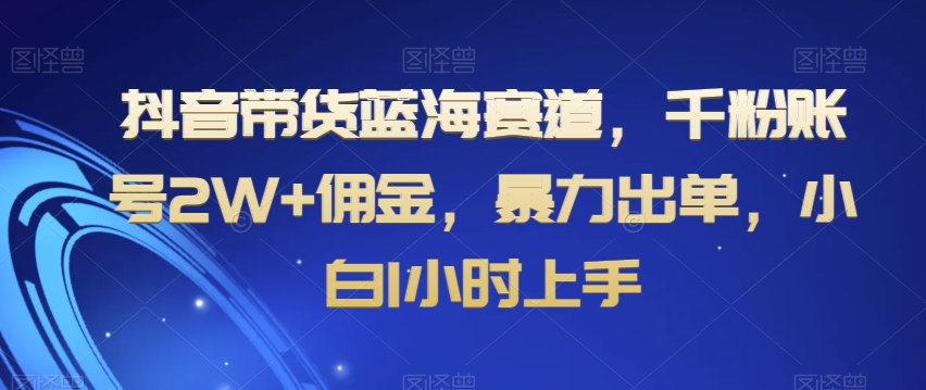 抖音带货蓝海赛道，千粉账号2W+佣金，暴力出单，小白1小时上手【揭秘】-86资源库