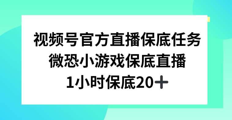 视频号直播任务，微恐小游戏，1小时20+【揭秘】-86资源库