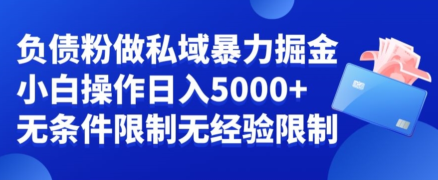 负债粉私域暴力掘金，小白操作入5000，无经验限制，无条件限制【揭秘】-86资源库
