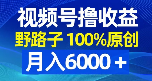 视频号野路子撸收益，100%原创，条条爆款，月入6000＋【揭秘】-86资源库