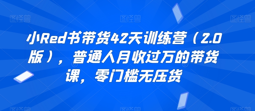小Red书带货42天训练营（2.0版），普通人月收过万的带货课，零门槛无压货-86资源库