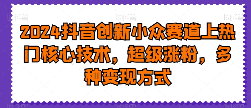 2024抖音创新小众赛道上热门核心技术，超级涨粉，多种变现方式【揭秘】-86资源库