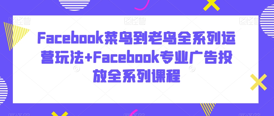 Facebook菜鸟到老鸟全系列运营玩法+Facebook专业广告投放全系列课程-86资源库