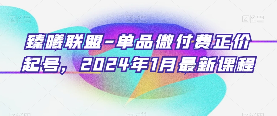 臻曦联盟-单品微付费正价起号，2024年1月最新课程-86资源库