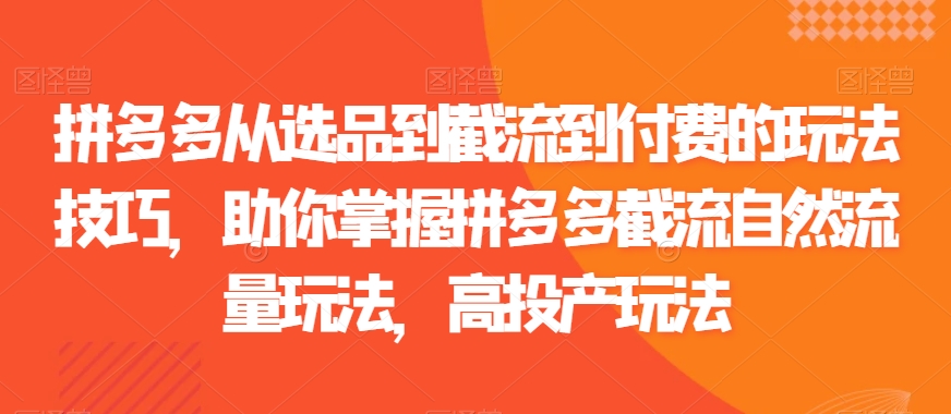 拼多多从选品到截流到付费的玩法技巧，助你掌握拼多多截流自然流量玩法，高投产玩法-86资源库