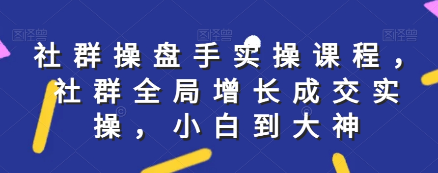 社群实操课程，社群全局增长成交实操，小白到大神-86资源库