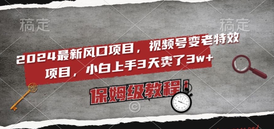 2024最新风口项目，视频号变老特效项目，电脑小白上手3天卖了3w+，保姆级教程【揭秘】-86资源库