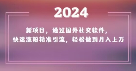 2024新项目，通过国外社交软件，快速涨粉精准引流，轻松做到月入上万【揭秘】-86资源库