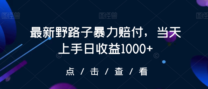 最新野路子暴力赔付，当天上手日收益1000+【仅揭秘】-86资源库