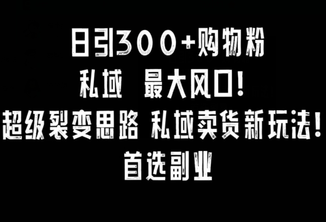 日引300+购物粉，超级裂变思路，私域卖货新玩法，小红书首选副业【揭秘】-86资源库
