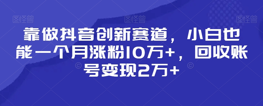 靠做抖音创新赛道，小白也能一个月涨粉10万+，回收账号变现2万+【揭秘】-86资源库