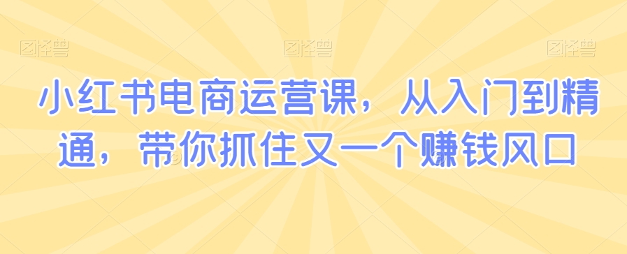小红书电商运营课，从入门到精通，带你抓住又一个赚钱风口-86资源库