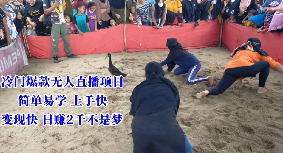 冷门爆款无人直播项目，简单易学上手快，变现快日赚2千不是梦【揭秘】-86资源库